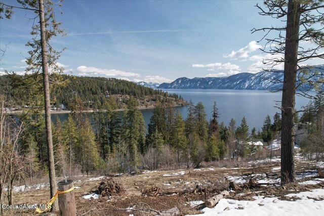 661 Midas Dr, Sagle, ID 83860 - photo 42