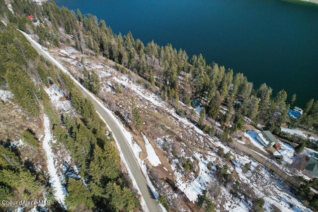 661 Midas Dr, Sagle, ID 83860 - photo 46