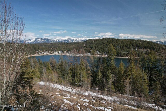 661 Midas Dr, Sagle, ID 83860 - photo 50