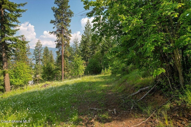 699 Midas Dr, Sagle, ID 83860