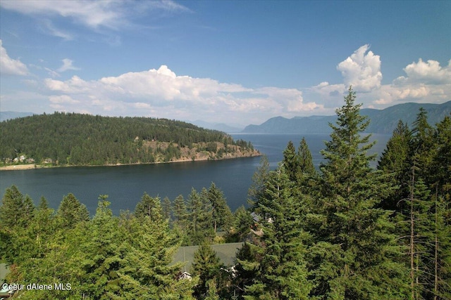 699 Midas Dr, Sagle, ID 83860