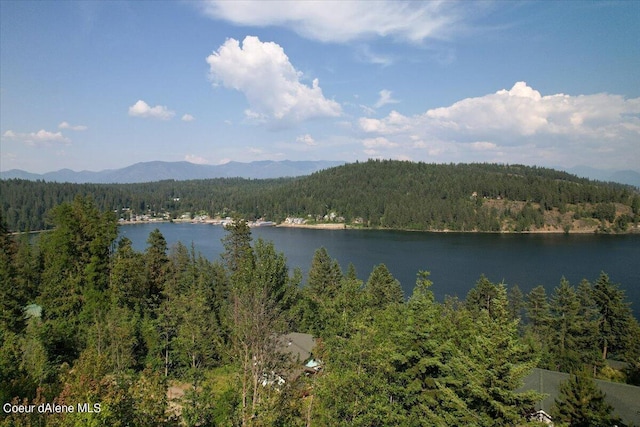 699 Midas Dr, Sagle, ID 83860