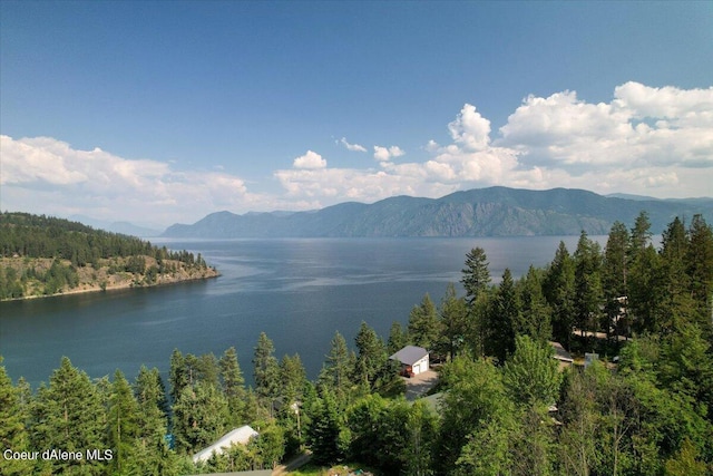 699 Midas Dr, Sagle, ID 83860