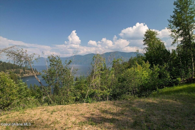 699 Midas Dr, Sagle, ID 83860