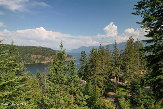699 Midas Dr, Sagle, ID 83860