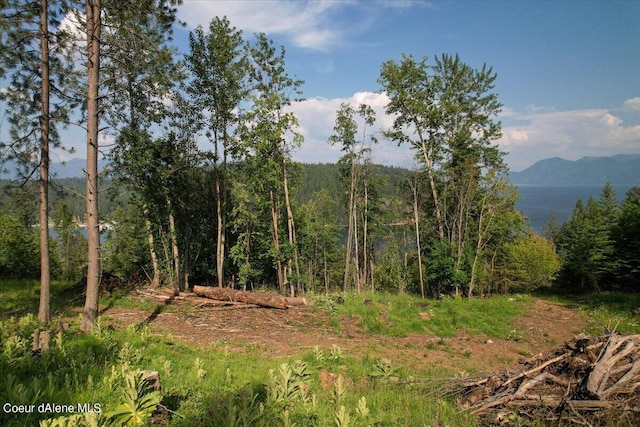 699 Midas Dr, Sagle, ID 83860