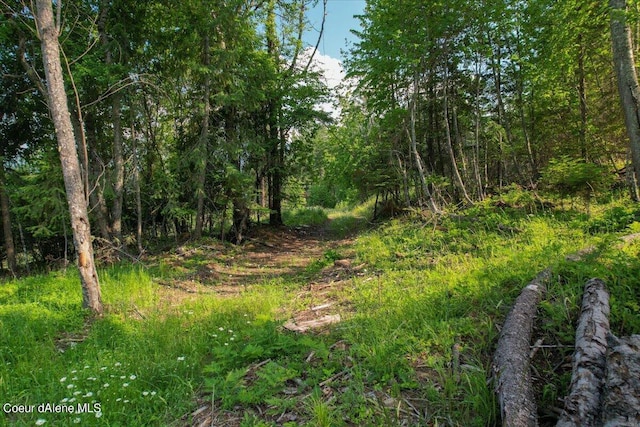 699 Midas Dr, Sagle, ID 83860