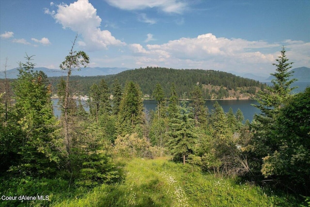 699 Midas Dr, Sagle, ID 83860