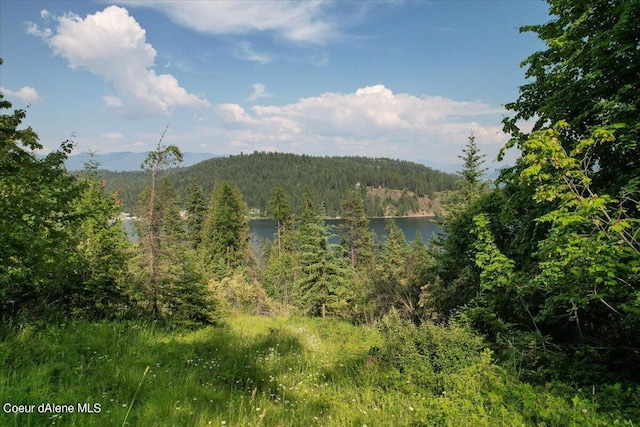 699 Midas Dr, Sagle, ID 83860