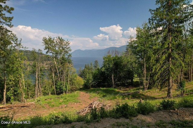699 Midas Dr, Sagle, ID 83860