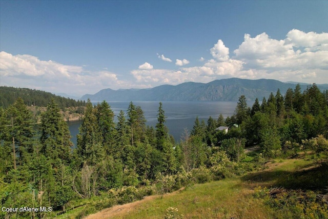 699 Midas Dr, Sagle, ID 83860