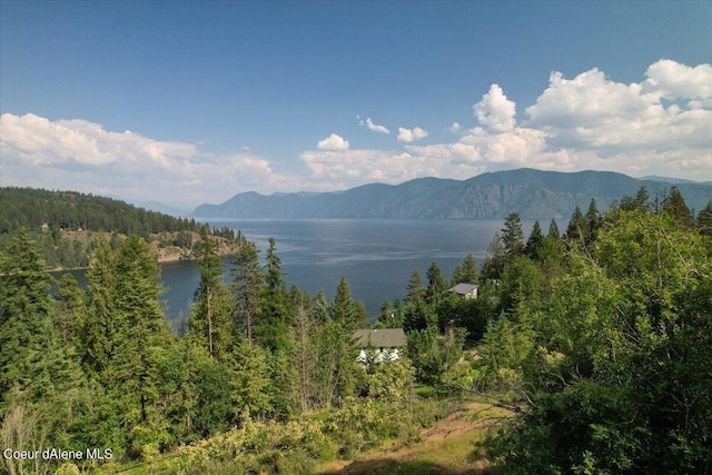699 Midas Dr, Sagle, ID 83860