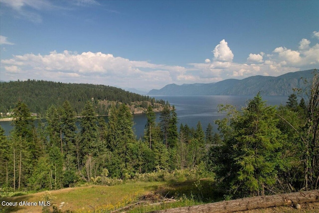 699 Midas Dr, Sagle, ID 83860