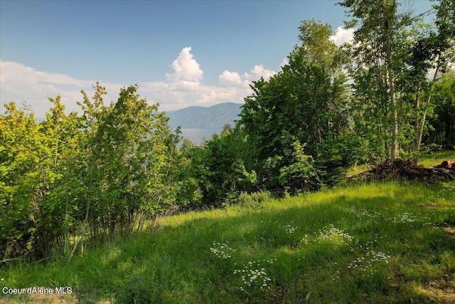 699 Midas Dr, Sagle, ID 83860