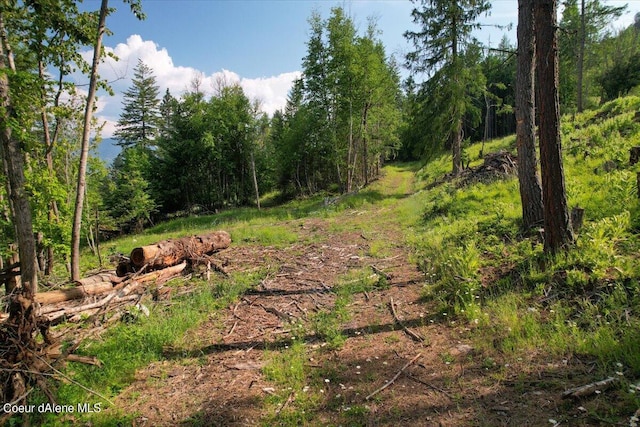 699 Midas Dr, Sagle, ID 83860
