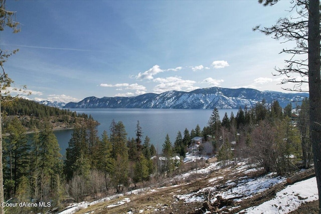 699 Midas Dr, Sagle, ID 83860