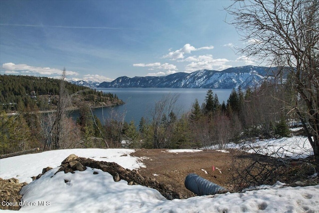 699 Midas Dr, Sagle, ID 83860