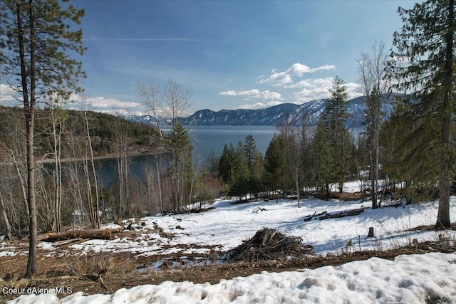 699 Midas Dr, Sagle, ID 83860