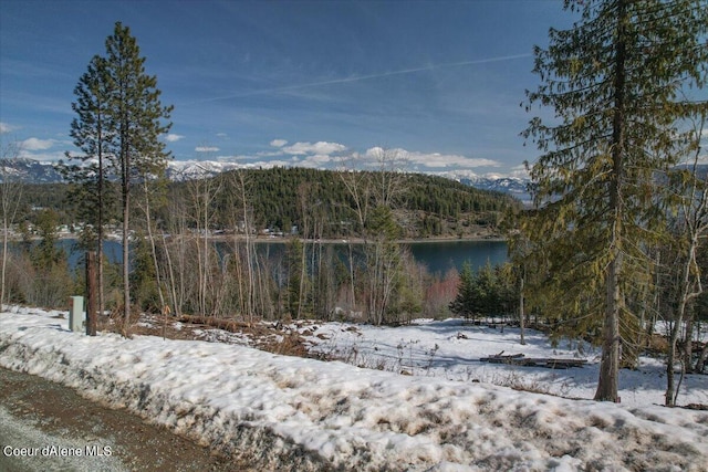 699 Midas Dr, Sagle, ID 83860