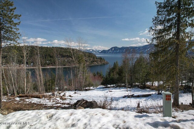 699 Midas Dr, Sagle, ID 83860