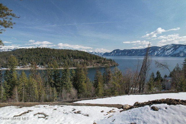 699 Midas Dr, Sagle, ID 83860