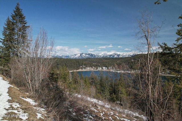 699 Midas Dr, Sagle, ID 83860