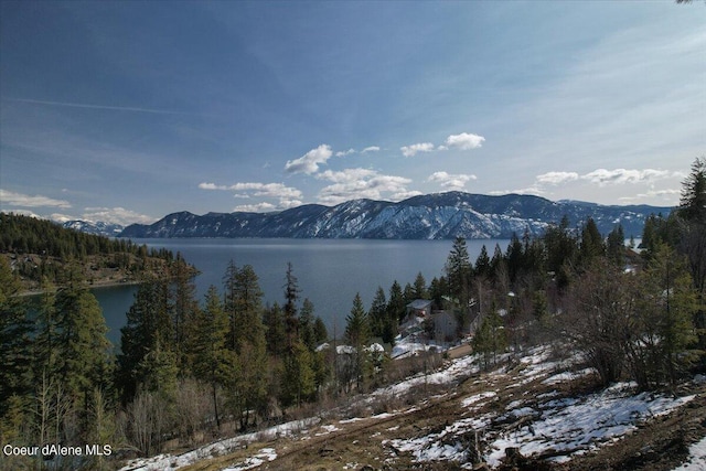 699 Midas Dr, Sagle, ID 83860