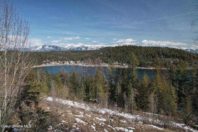 699 Midas Dr, Sagle, ID 83860