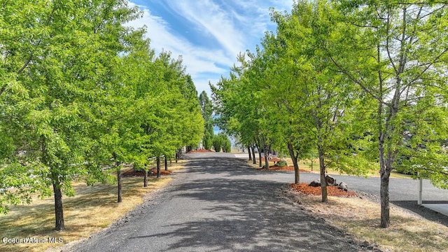 19750 S Providence Ln, Worley, ID 83876 - photo 11