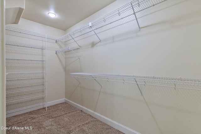 8511 N Summerfield Loop, Hayden, ID 83835 - walk in closet with light colored carpet