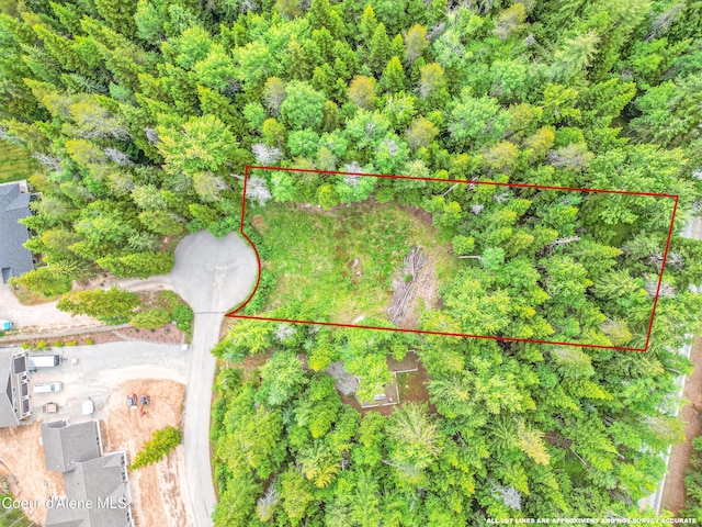 92 Camas Dr, Priest River, ID 83856 - aerial view of property's location with property parcel outlined