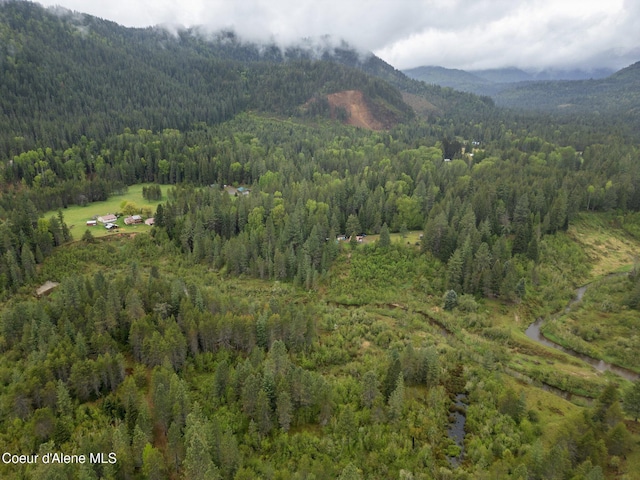 351 W Branch Rd, Priest River, ID 83856