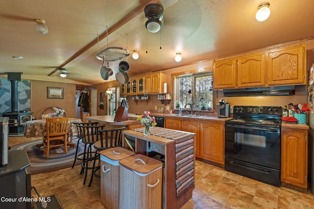490 Samuels Rd, Sandpoint, ID 83864 - kitchen featuring black electric range oven, a ceiling fan, under cabinet range hood, a wood stove, and a sink