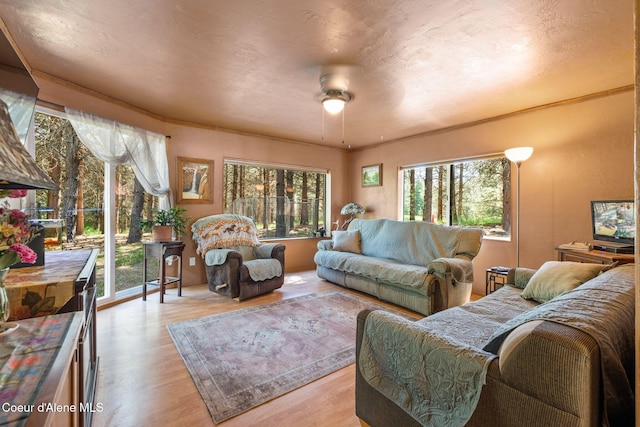 490 Samuels Rd, Sandpoint, ID 83864 - living area with healthy amount of natural light, wood finished floors, and a ceiling fan