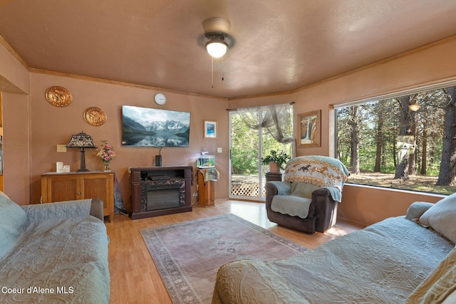 490 Samuels Rd, Sandpoint, ID 83864 - living area featuring wood finished floors and crown molding
