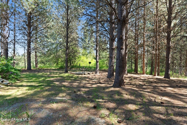 490 Samuels Rd, Sandpoint, ID 83864 - view of yard