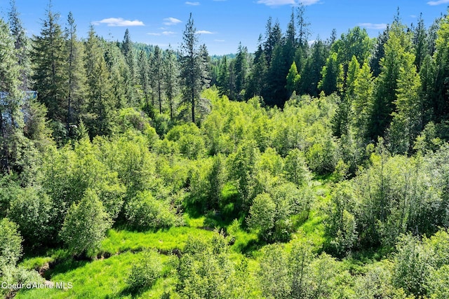 490 Samuels Rd, Sandpoint, ID 83864 - view of tree filled area