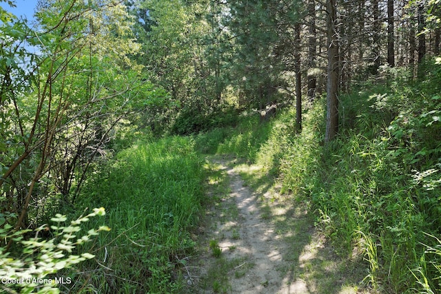 490 Samuels Rd, Sandpoint, ID 83864 - view of street with a forest view