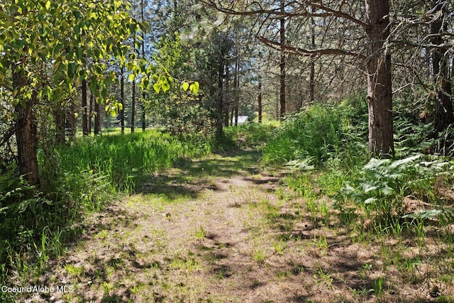 490 Samuels Rd, Sandpoint, ID 83864 - view of nature