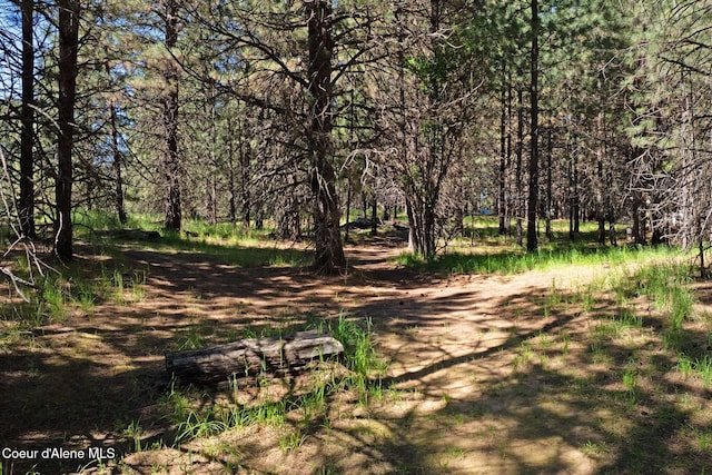 490 Samuels Rd, Sandpoint, ID 83864 - view of community