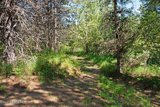 490 Samuels Rd, Sandpoint, ID 83864 - view of woods