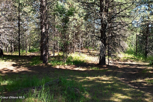 490 Samuels Rd, Sandpoint, ID 83864 - view of wooded area