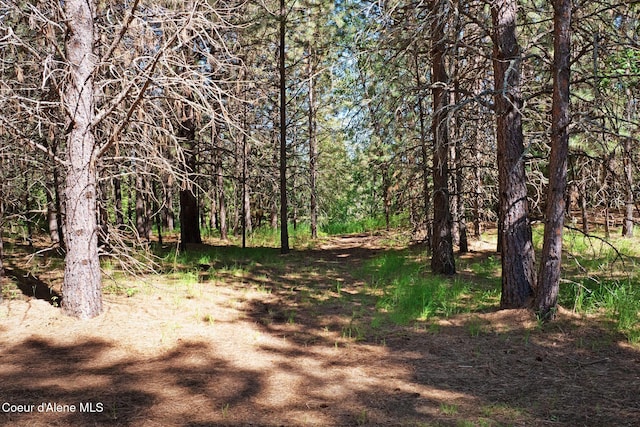 490 Samuels Rd, Sandpoint, ID 83864 - view of woods