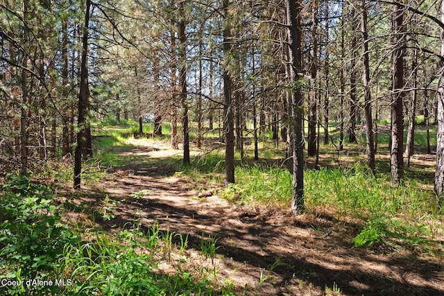 490 Samuels Rd, Sandpoint, ID 83864 - view of local wilderness