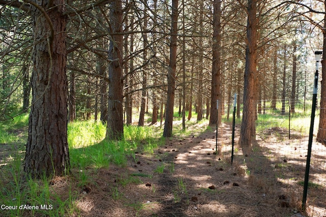 490 Samuels Rd, Sandpoint, ID 83864 - view of nature