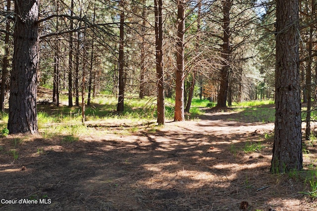 490 Samuels Rd, Sandpoint, ID 83864 - view of community with a wooded view