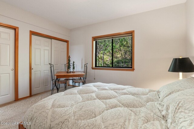 227 Crystal Springs Rd # 3, Sandpoint, ID 83864 - bedroom featuring light carpet and a closet