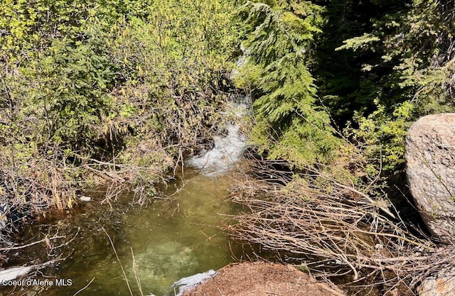 227 Crystal Springs Rd # 3, Sandpoint, ID 83864 - view of local wilderness