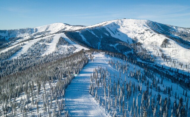 227 Crystal Springs Rd # 3, Sandpoint, ID 83864 - view of mountain background