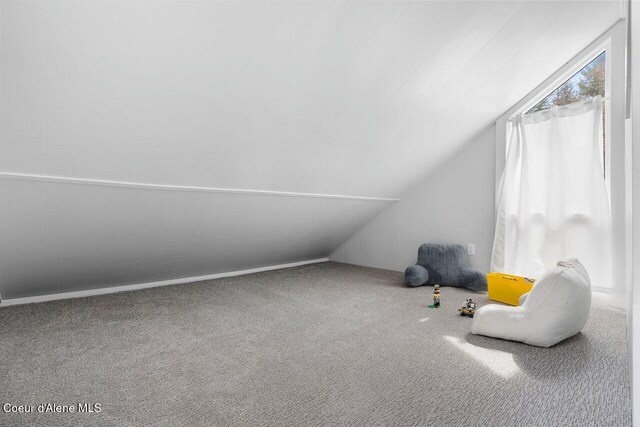 228 Snowgoose Ln Unit 8, Sandpoint, ID 83864 - additional living space with carpet floors and lofted ceiling